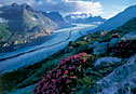 The Great Aletsch Glacier is a Unseco world nature heritage site.