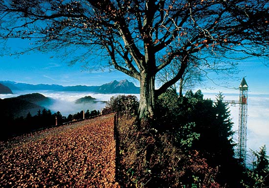 The view over Lake Lucerne in late fall