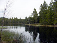 The romantic La Gruère pond near Saignelégier